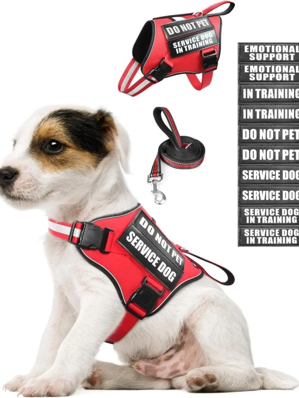 Adjustable Reflective Service Dog Vest Harness & Leash Set + 10 Patches, XS